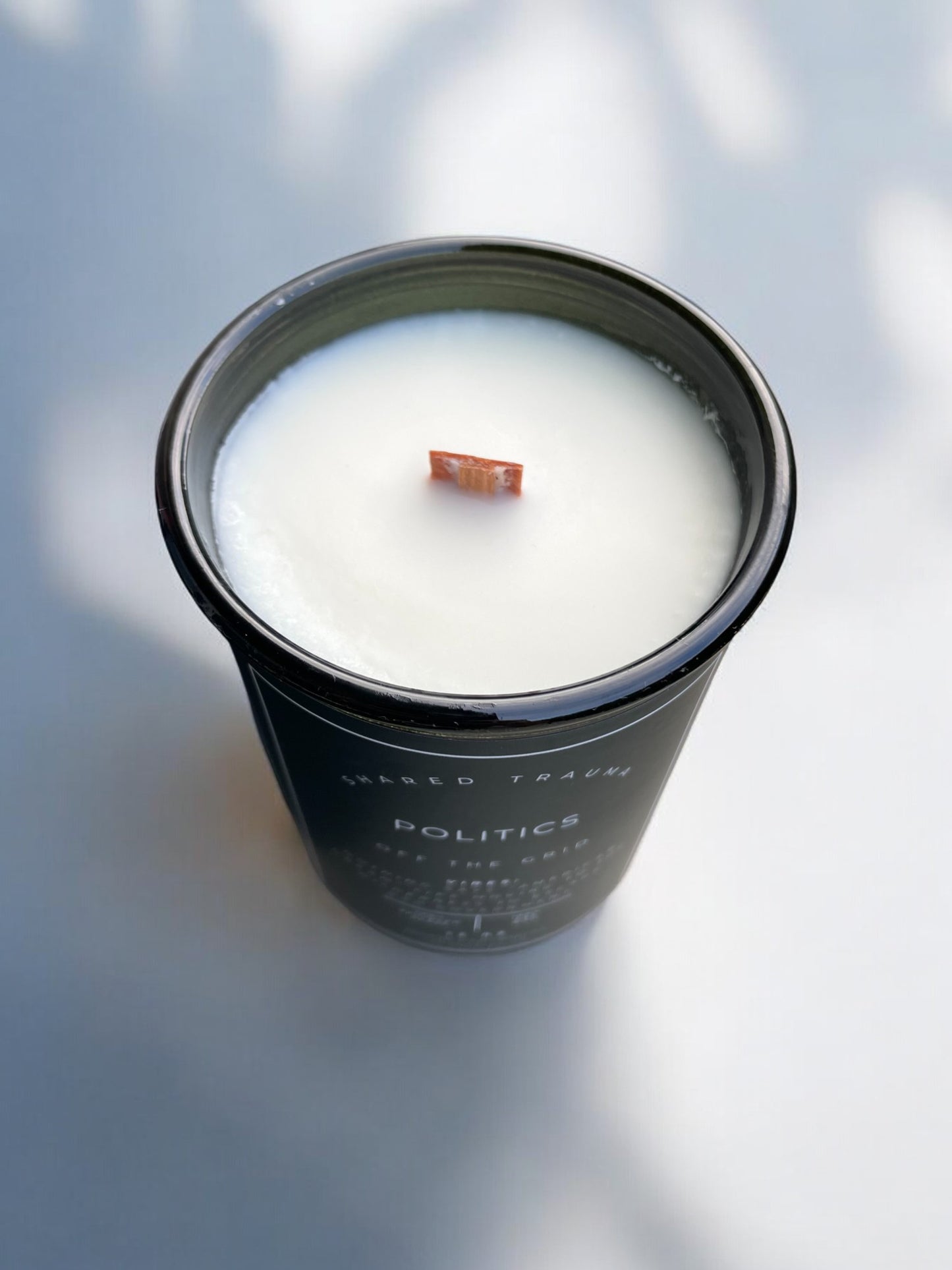 Shared Trauma Candles - Politics - 13 Oz Crackling Wood Wick - Amber Sage & Moss